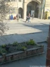 View from front window
